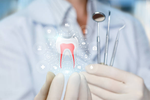 Reliable Pinehurst, TX  Holistic Dental Services Solutions